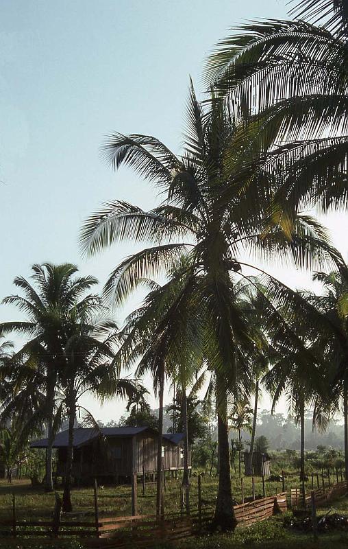 WT 0700 111-23 Malaysia.jpg